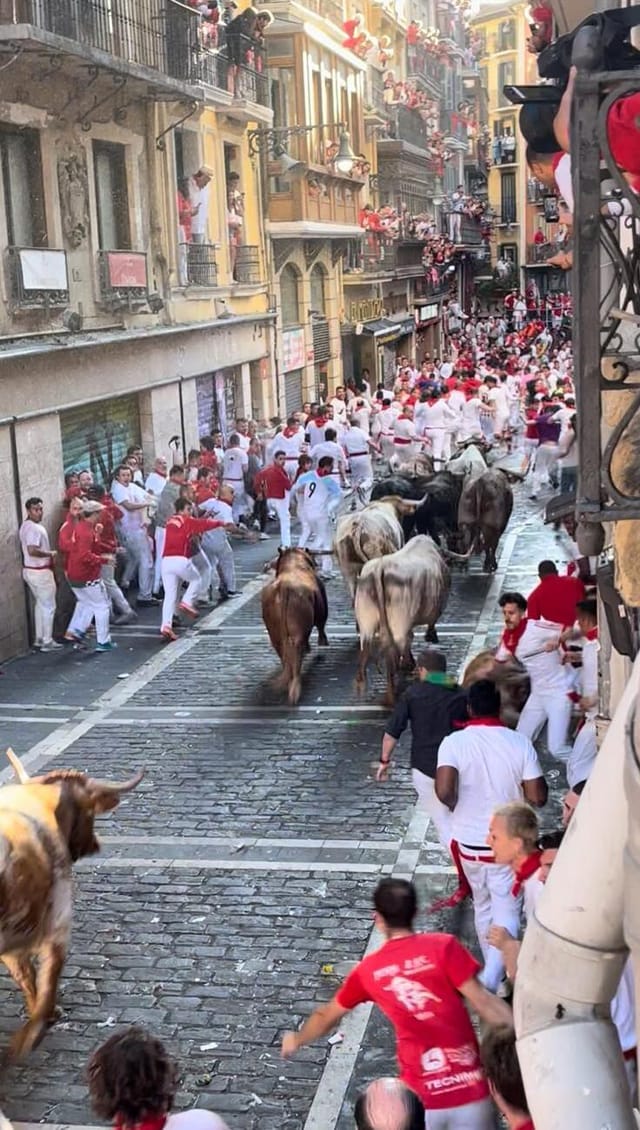 The bull run at your feet